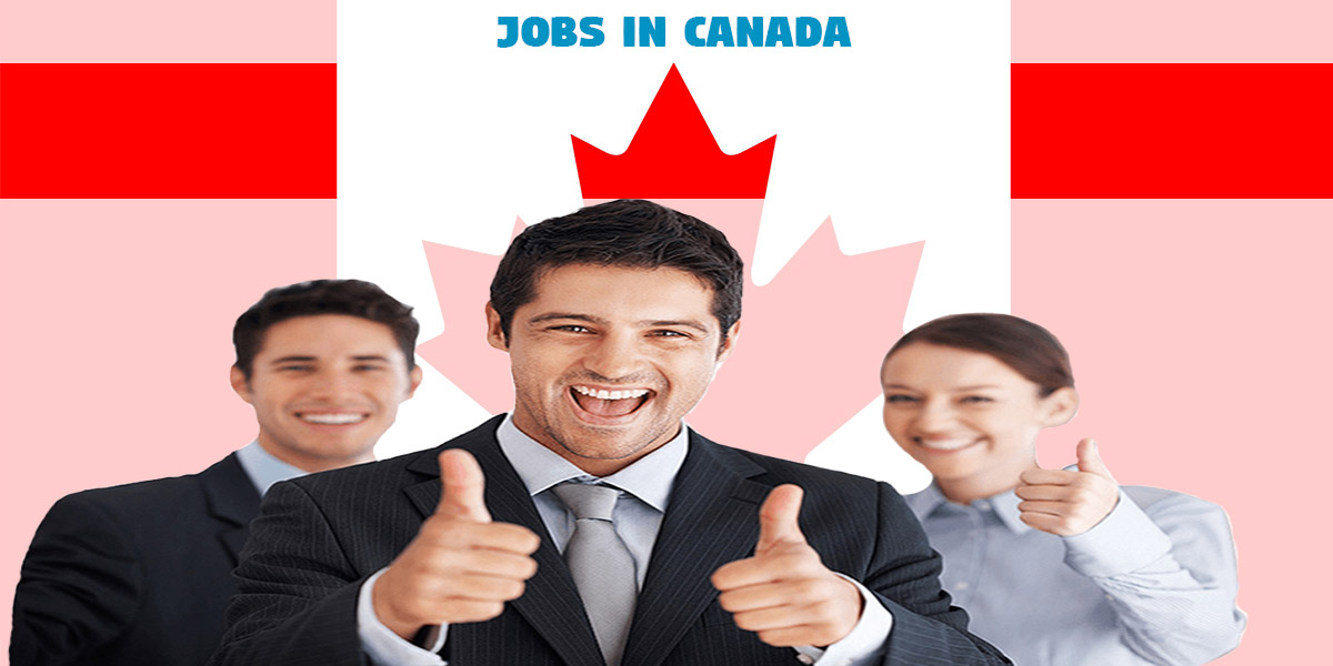 Jobs for new graduates in ontario canada