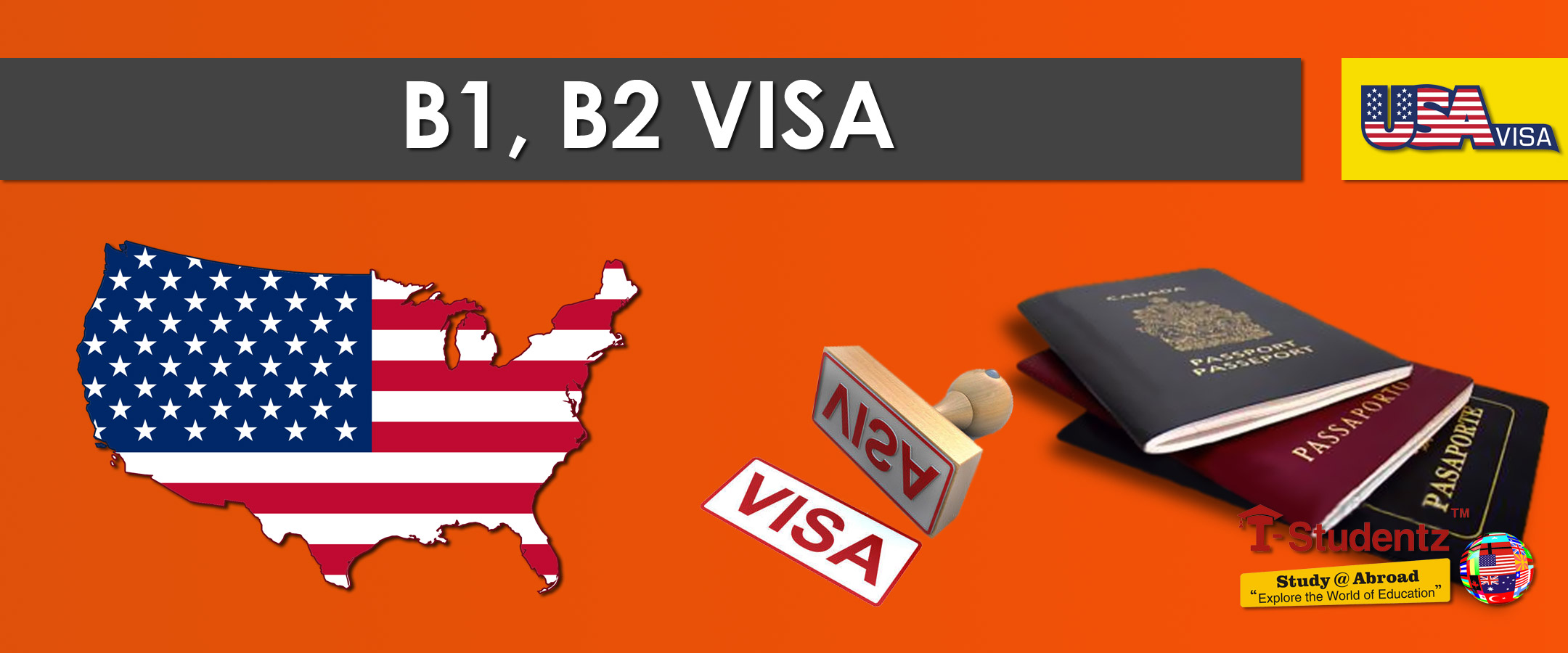 Visa b2b. Us visa. B visa. Виза b211